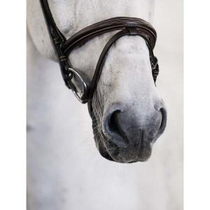 Riding bridle PS of Sweden Stockholm image-2