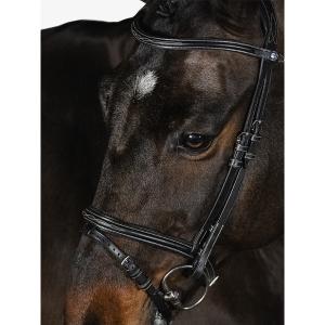 Riding bridle PS of Sweden Stockholm image-2