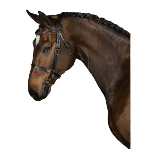 Ridträns PS of Sweden Wellington