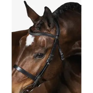 Ridträns PS of Sweden Wellington image-2