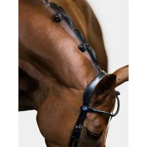 Riding bridle PS of Sweden GP image-2