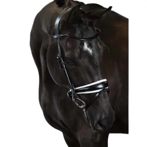 Uzda do jazdy konnej PS of Sweden GP image-0