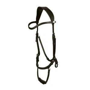 Bridon équitation PS of Sweden King Edward