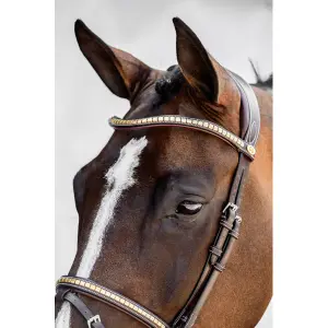 Frontal pour cheval PS of Sweden Gold Clincher Pro image-1