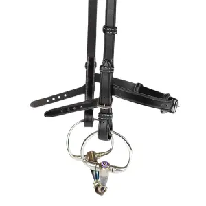 Accessoire de bridon pour cheval PS of Sweden Nirak image-0