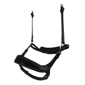 Reithalfter Pferd PS of Sweden Pioneer image-0