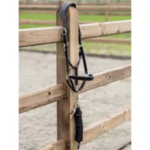 Halster voor paarden PS of Sweden image-0