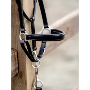 Halster voor paarden PS of Sweden image-1