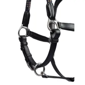 Lederhalfter für Pferde PS of Sweden Palermo image-0