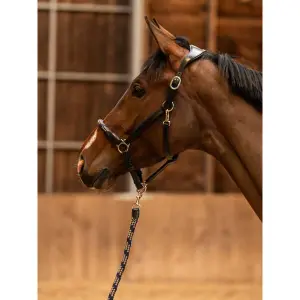 Lederhalfter für Pferde PS of Sweden Palermo image-2