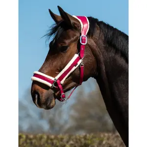 Cavezza in cuoio PS of Sweden Premium image-1