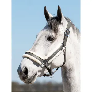 Cavezza in cuoio PS of Sweden Premium image-1