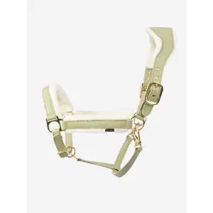 Licol pour cheval en cuir PS of Sweden Premium image-0