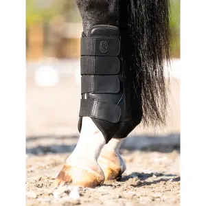 Stängda bakbensskor för hästar PS of Sweden Premium (x2) image-1