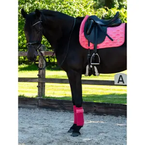 Polo strips for horses PS of Sweden Velvet Monogram (x4) image-2