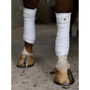 Bandagens de polo para cavalo PS of Sweden Dinja X image-2