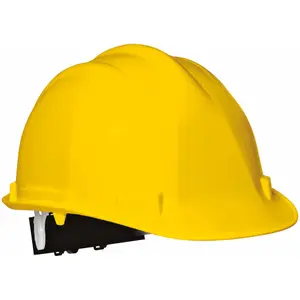 Schutzhelm Dickies image-0