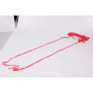 escala de ritmo Proact image-0