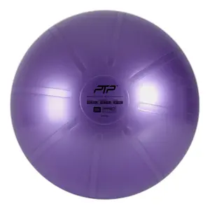 920015-6006-trainingsball-ptp-coreball-pearl-violett