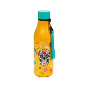 Stainless Steel Water Bottle for Hot or Cold Drinks Day of the Dead Puckator image-0