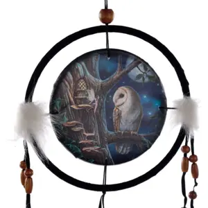 Owl & Fairy Dreamcatcher Puckator Lisa Parker image-1