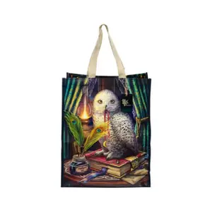Sac cabas riutilizzabile Gardien des Sorts Puckator Lisa Parker Hibou image-1