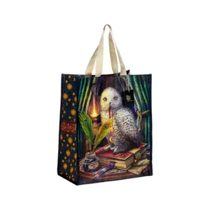Sac cabas riutilizzabile Gardien des Sorts Puckator Lisa Parker Hibou image-2