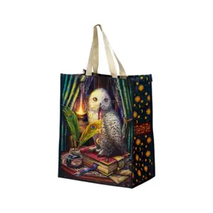 Sac cabas riutilizzabile Gardien des Sorts Puckator Lisa Parker Hibou image-4