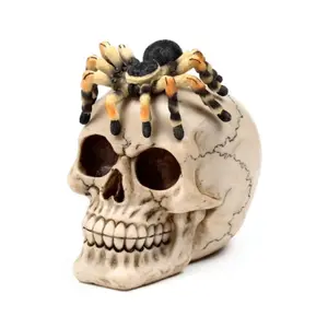 Dekorative Figur Totenkopf mit Spinne Puckator image-2
