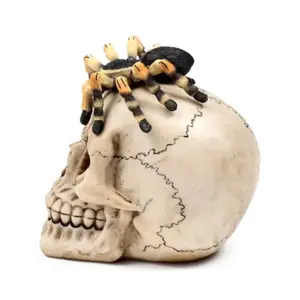 Dekorative Figur Totenkopf mit Spinne Puckator image-3