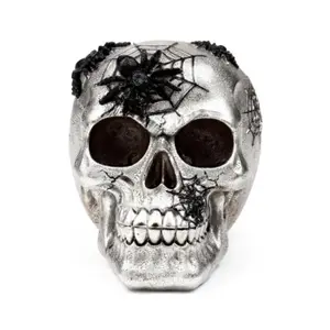 Decorative Skull Figurine with Spiders and Web Puckator image-1