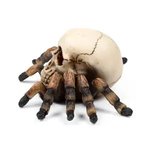 Figurine Dekoration Schädel mit Spinnenbeinen Puckator image-3