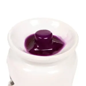 Candle wax Puckator Prune & Cassis (x6) image-2