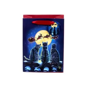 Gift bag Puckator Chats de Noël Lisa Parke image-0