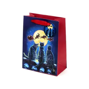 Gift bag Puckator Chats de Noël Lisa Parke image-2