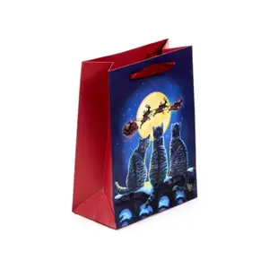 Gift bag Puckator Chats de Noël Lisa Parke image-1