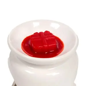 Candle Wax Christmas Plants Winter Spices Puckator (x5) image-1