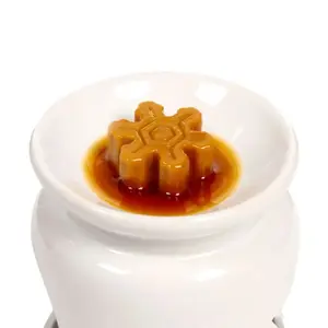 Candle Wax Christmas Plants Winter Spices Puckator (x5) image-2
