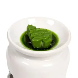 Candle Wax Christmas Plants Winter Spices Puckator (x5) image-3