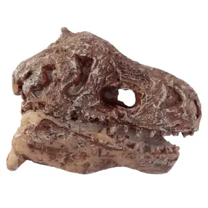 RAWR Dinosaur Skull Fossil Dig Kit Puckator image-1