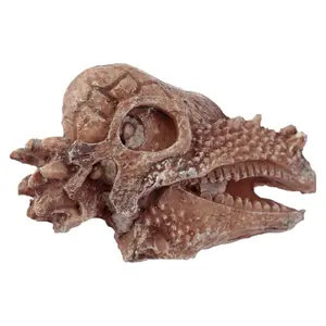 RAWR Dinosaur Skull Fossil Dig Kit Puckator image-2
