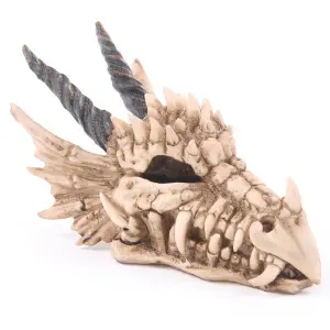 Tirelire crâne de dragon Puckator image-0