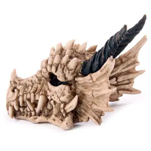 Tirelire crâne de dragon Puckator image-2