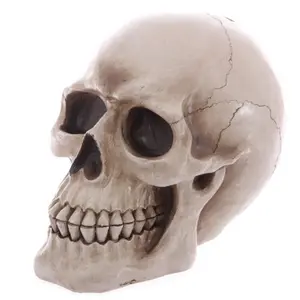 Hucha calavera Puckator image-0
