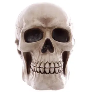 Hucha calavera Puckator image-1
