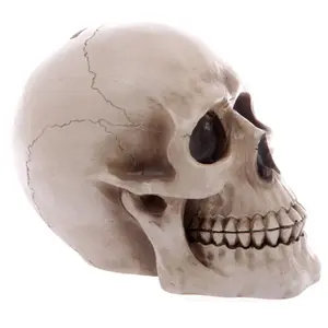 Hucha calavera Puckator image-3