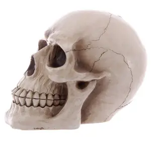 Hucha calavera Puckator image-4
