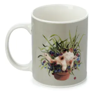 Porcelain mug kim haskins cat in plant pot Puckator image-0
