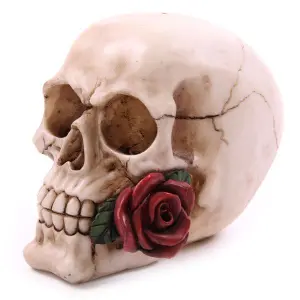 Skull with roses Puckator image-1