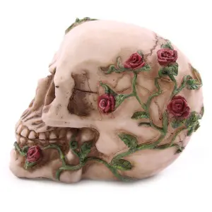 Skull with roses Puckator image-6